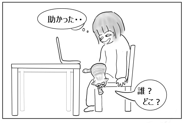膝から降りる猫
