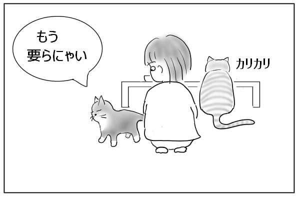 ゴハンを残した猫