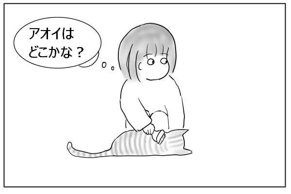 猫をさがす人