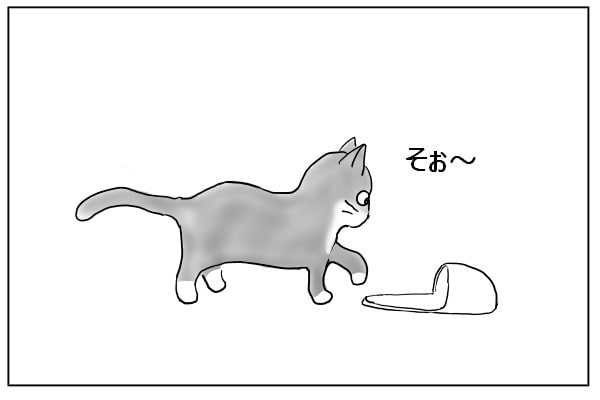 スリッパに近づく猫