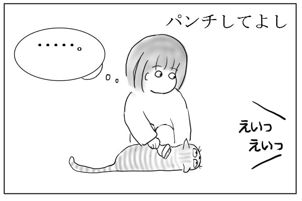 スリッパに猫パンチ