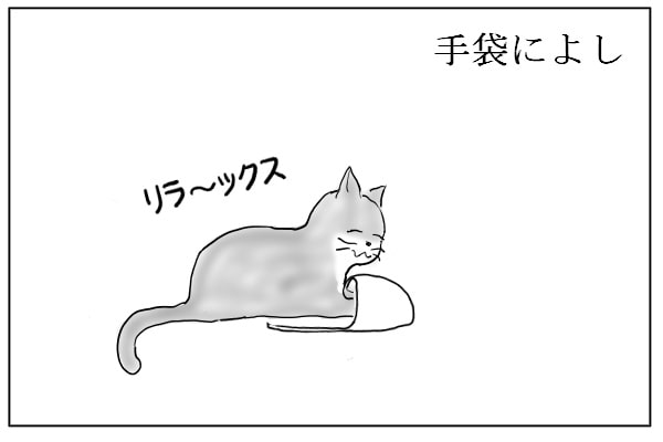 まったりする猫