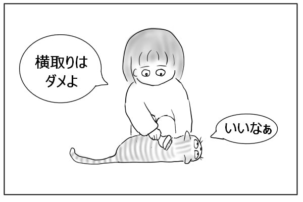 うらやましい猫