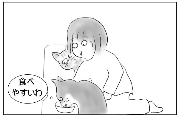 食べてる猫