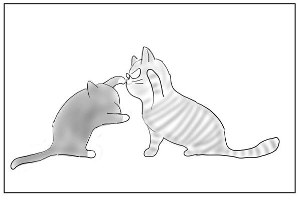 猫のけんか