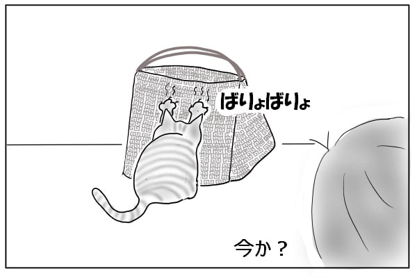 仕返しのタイミング