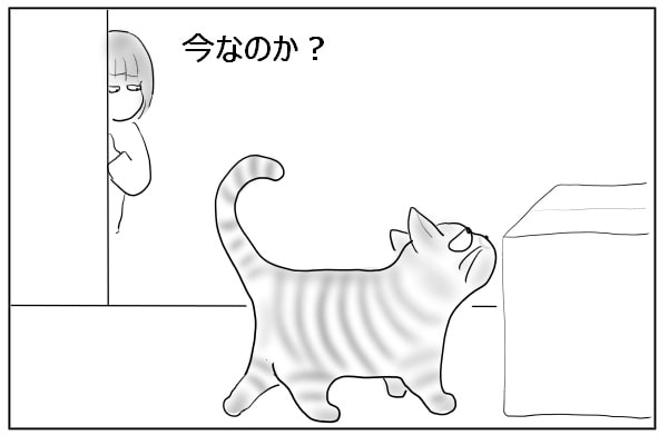 機をうかがう