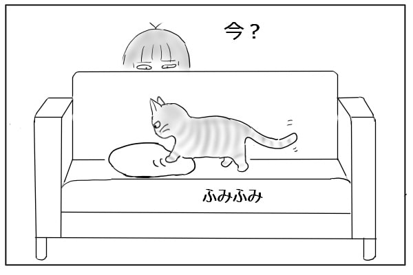 狙う人