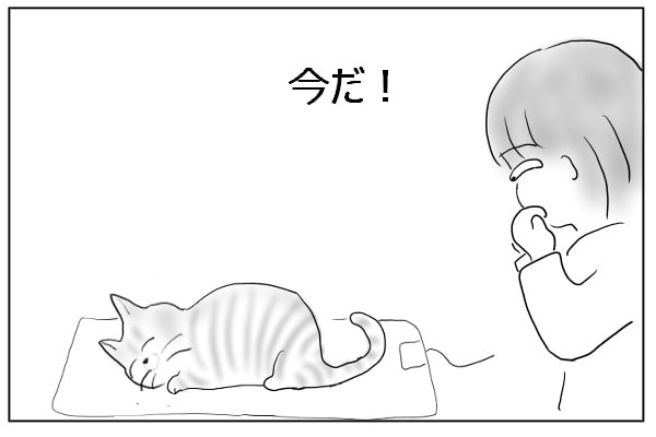 チャンス到来