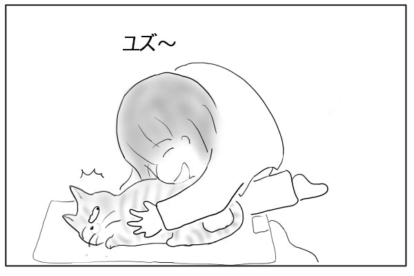 猫に覆いかぶさる
