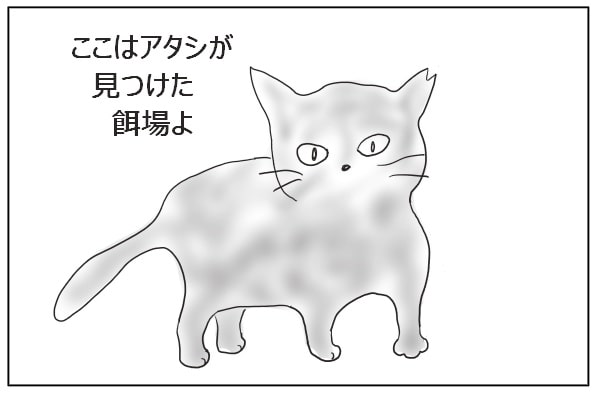 桜猫さびにゃん