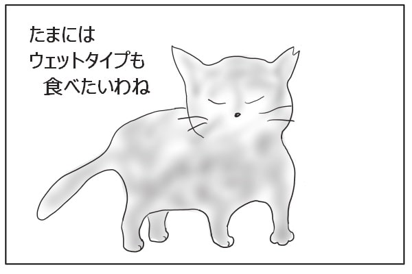 サビ猫の要望