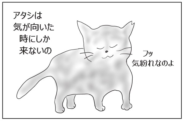 気まぐれな猫