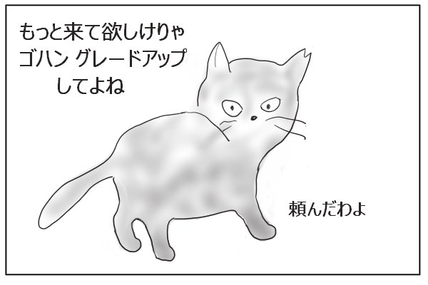 猫の捨て台詞