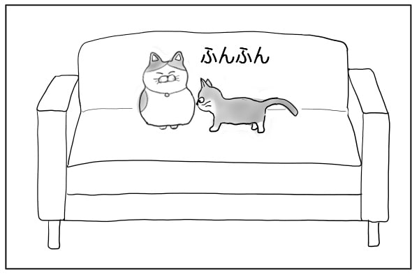 ニオイをかぐ猫