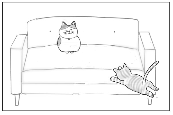 突進する猫