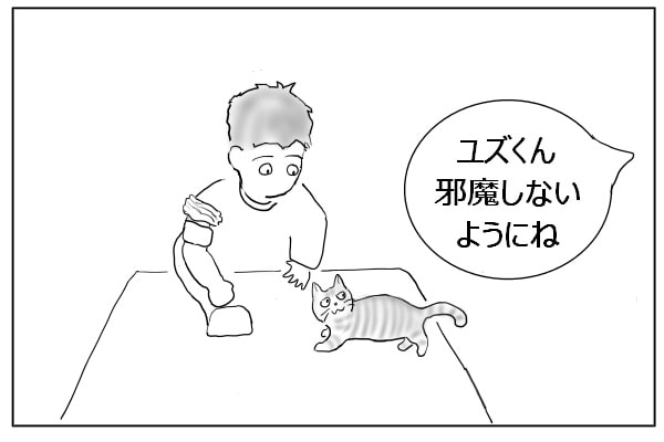 猫に声をかける