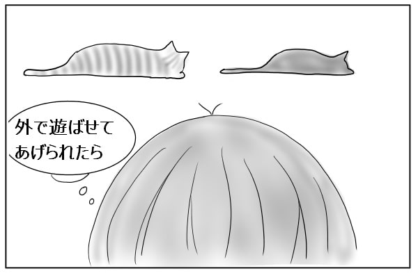 寝てばかりの猫たち