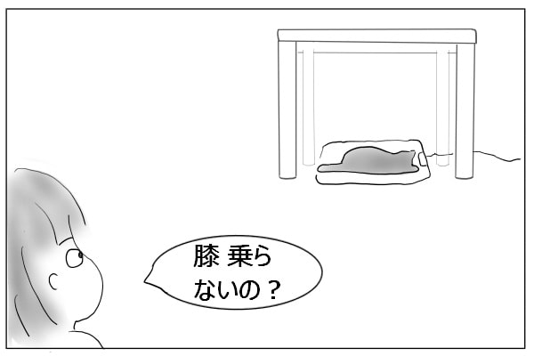 猫に話しかける