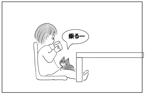 膝に乗る猫