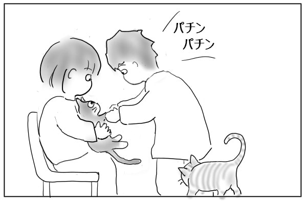 おやつ催促する猫