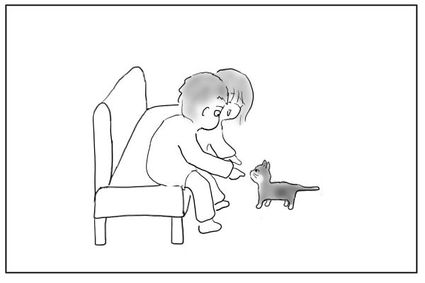 物おじしない猫