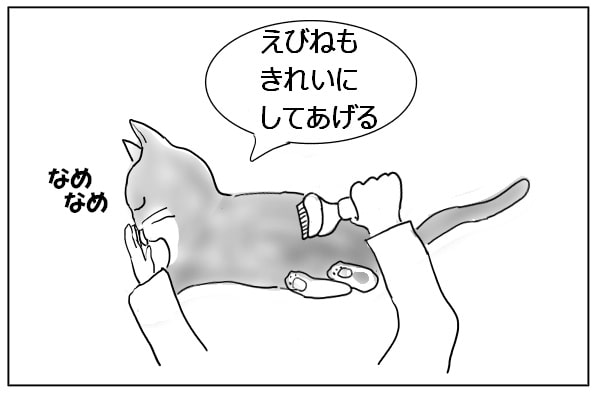 手を舐める猫