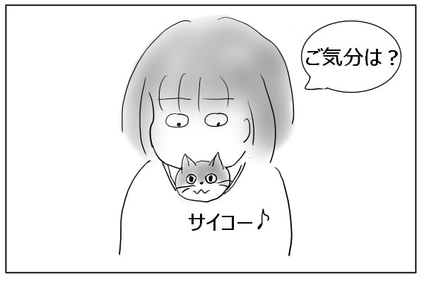 甘えん坊の猫