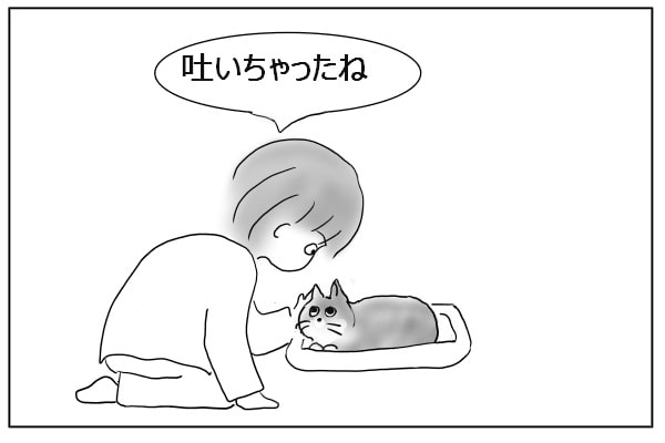 猫を慰める