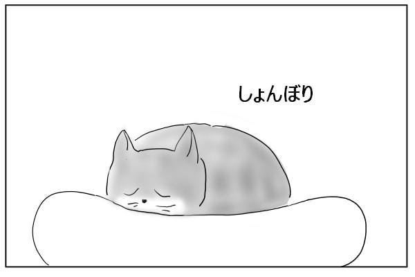 しょんぼりする猫