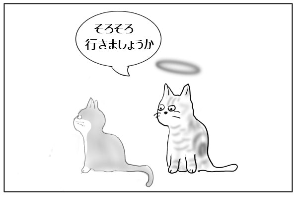 そっと促す猫