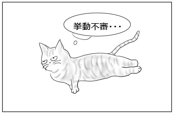 不審がる猫