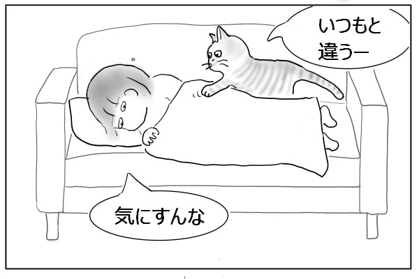 ずかずか乗る猫