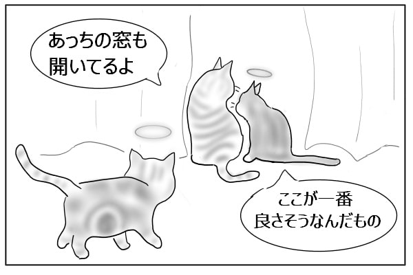 集める猫たち