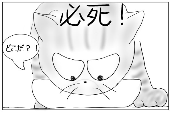 必死な猫