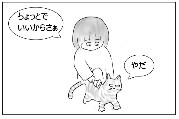 逃げる猫