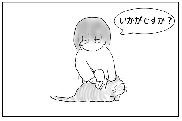 猫と飼い主