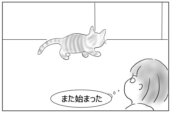 ２階を気にする猫