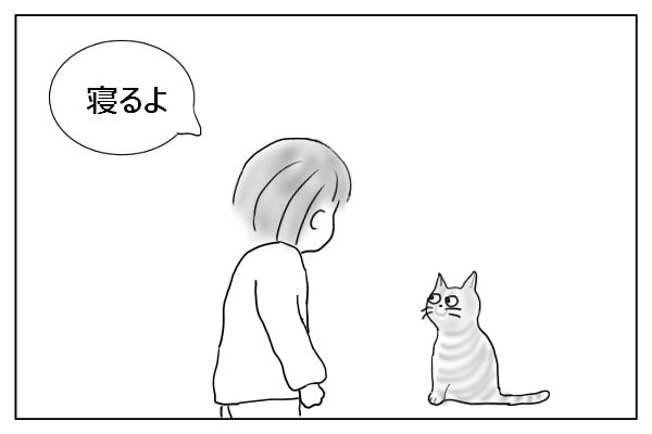 猫に声かけ