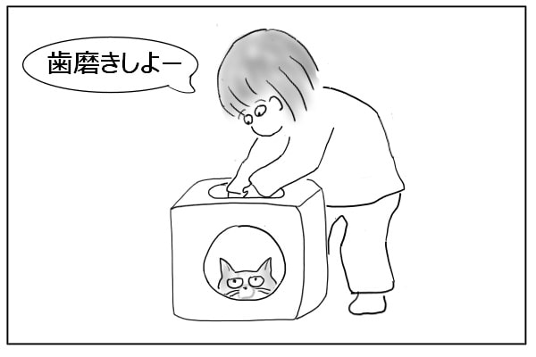 猫を捕まえようとする