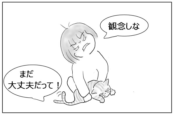 猫と格闘する