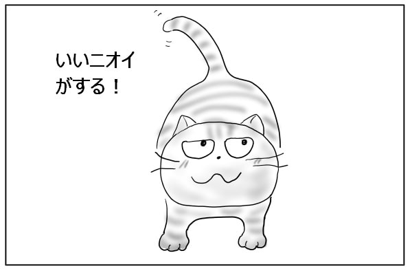 嗅ぎつける猫