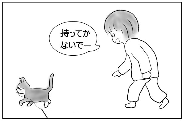 運ぶ猫