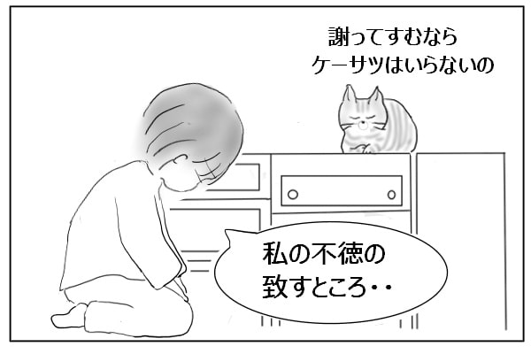 猫に謝罪