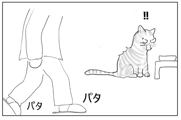 猫のゴハンの時間