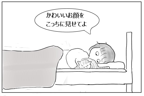 猫に話しかける