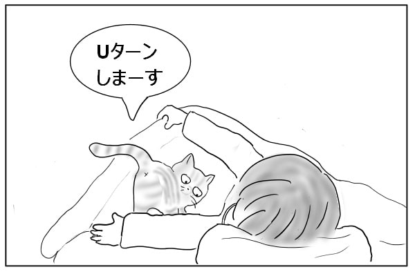 向きを変える猫