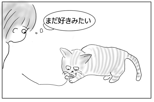 また齧る猫