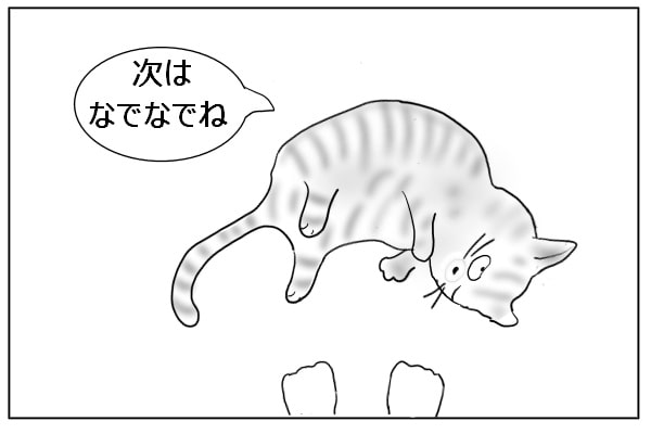 甘え続ける猫