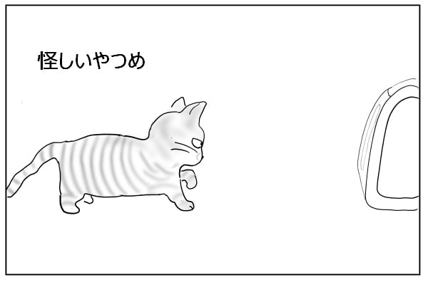 近づく猫